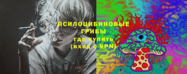 стаф Иннополис